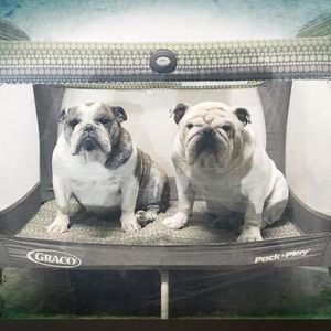 Meet your Posher, Madina